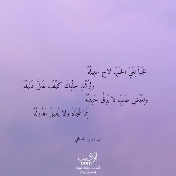 اقتباس من قصيدة عجبا لغي الحب لاح سبيله لـ ابن دراج القسطلي اقتباس من قصيدة عجبا لغي الحب لاح سبيله لـ ابن دراج القسطلي