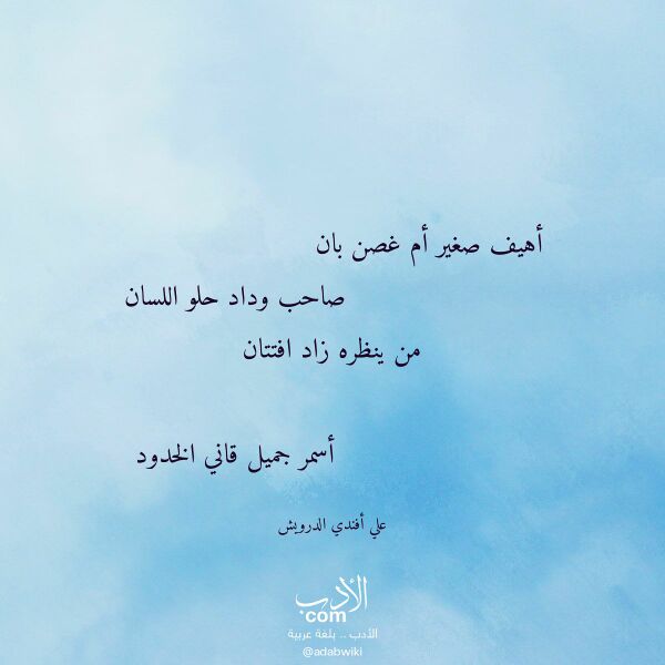 اقتباس من قصيدة أهيف صغير أم غصن بان لـ علي أفندي الدرويش