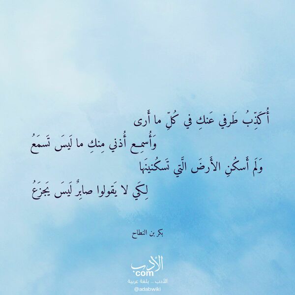 اقتباس من قصيدة أكذب طرفي عنك في كل ما أرى لـ بكر بن النطاح