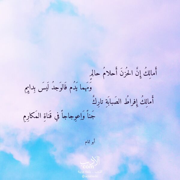 اقتباس من قصيدة أمالك إن الحزن أحلام حالم لـ أبو تمام