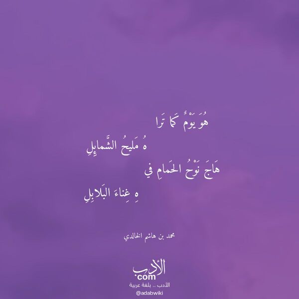 اقتباس من قصيدة هو يوم كما ترا لـ محمد بن هاشم الخالدي