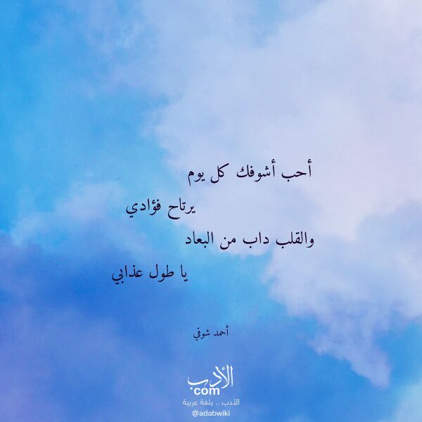 اقتباس من قصيدة أحب أشوفك كل يوم لـ أحمد شوقي