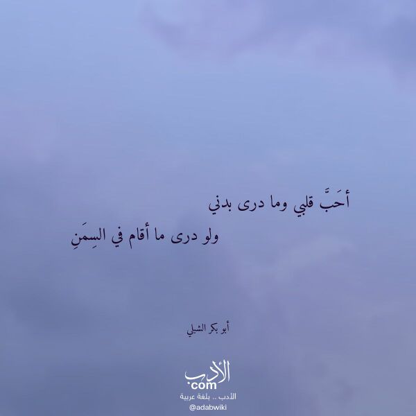 اقتباس من قصيدة أحب قلبي وما درى بدني لـ أبو بكر الشبلي اقتباس من قصيدة أحب قلبي وما درى بدني لـ أبو بكر الشبلي