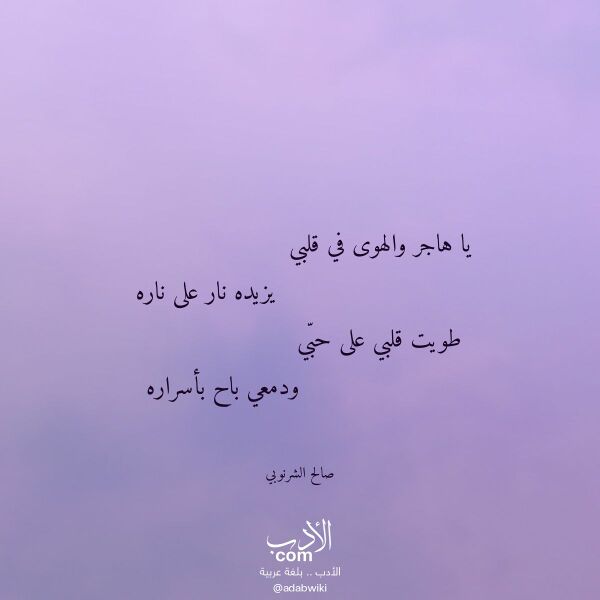 اقتباس من قصيدة يا هاجر والهوى في قلبي لـ صالح الشرنوبي