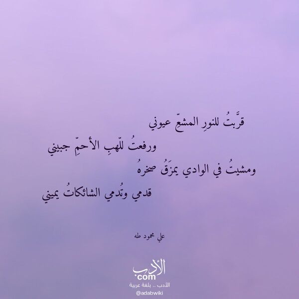 اقتباس من قصيدة قربت للنور المشع عيوني لـ علي محمود طه اقتباس من قصيدة قربت للنور المشع عيوني لـ علي محمود طه