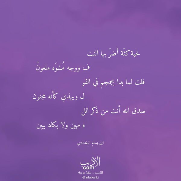 اقتباس من قصيدة لحية كثة أضر بها النت لـ ابن بسام البغدادي
