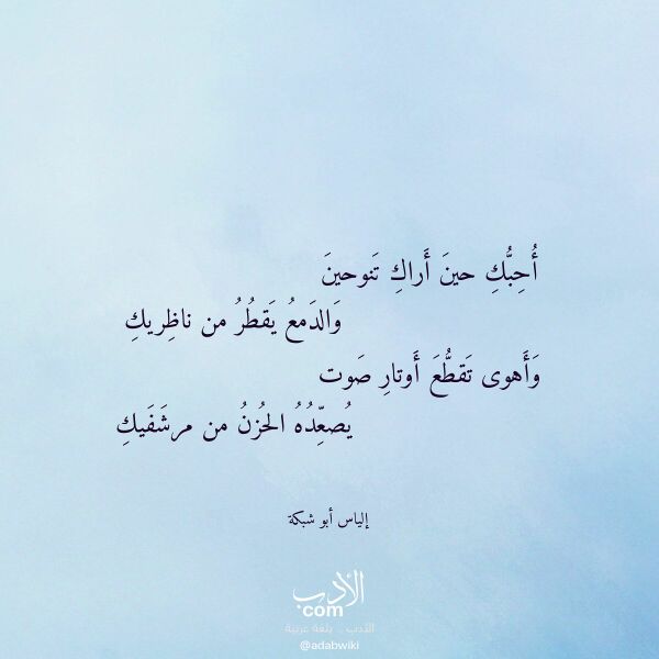 اقتباس من قصيدة أحبك حين أراك تنوحين لـ إلياس أبو شبكة
