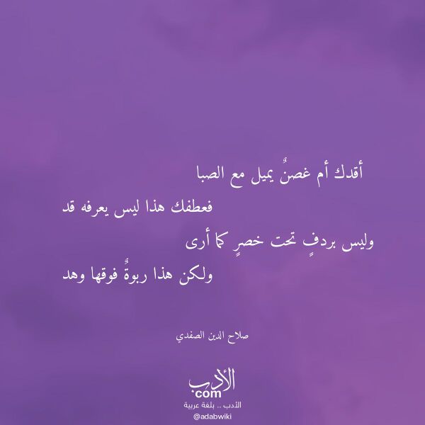 اقتباس من قصيدة أقدك أم غصن يميل مع الصبا لـ صلاح الدين الصفدي