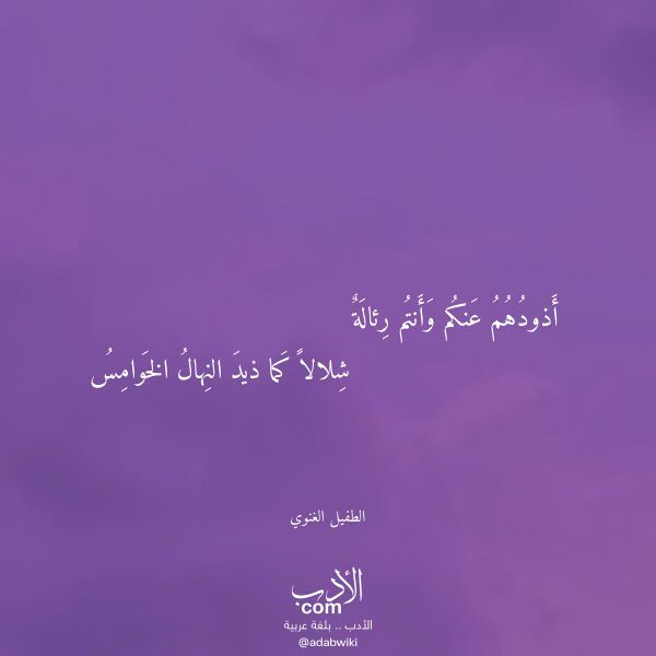 اقتباس من قصيدة أذودهم عنكم وأنتم رئالة لـ الطفيل الغنوي اقتباس من قصيدة أذودهم عنكم وأنتم رئالة لـ الطفيل الغنوي