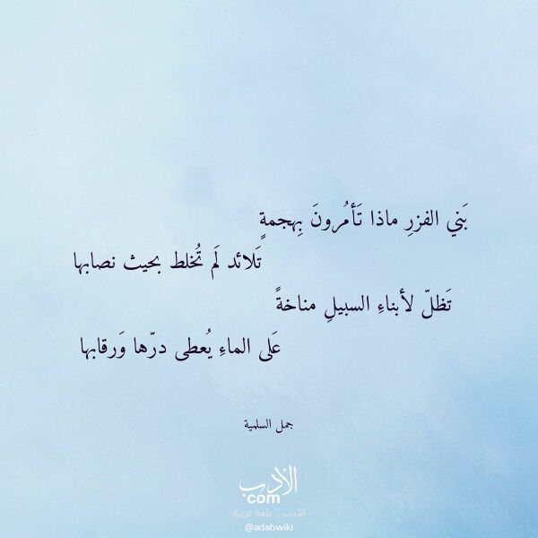 اقتباس من قصيدة بني الفزر ماذا تأمرون بهجمة لـ جمل السلمية اقتباس من قصيدة بني الفزر ماذا تأمرون بهجمة لـ جمل السلمية