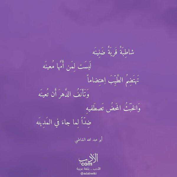 اقتباس من قصيدة شاطبة قرية ضنينه لـ أبو عبد الله الشاطبي