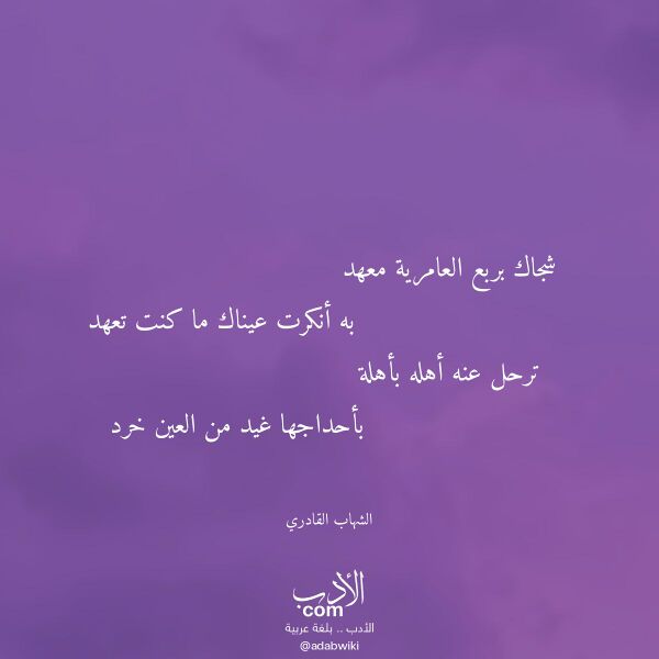 اقتباس من قصيدة شجاك بربع العامرية معهد لـ الشهاب القادري