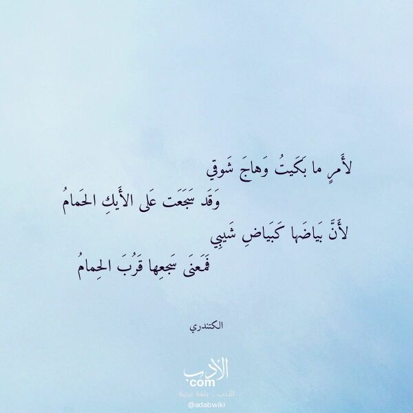 اقتباس من قصيدة لأمر ما بكيت وهاج شوقي لـ الكتندري