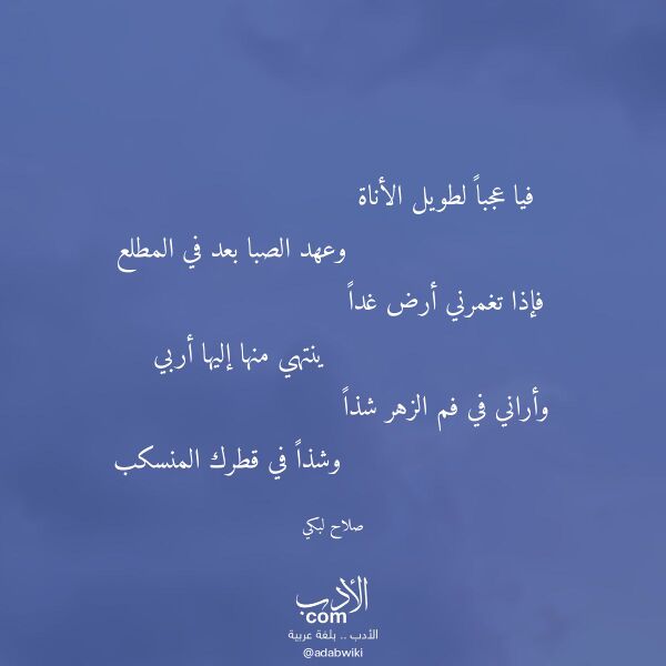 اقتباس من قصيدة فيا عجبا لطويل الأناة لـ صلاح لبكي