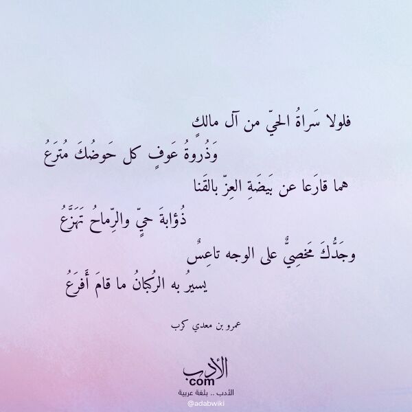 اقتباس من قصيدة فلولا سراة الحي من آل مالك لـ عمرو بن معدي كرب