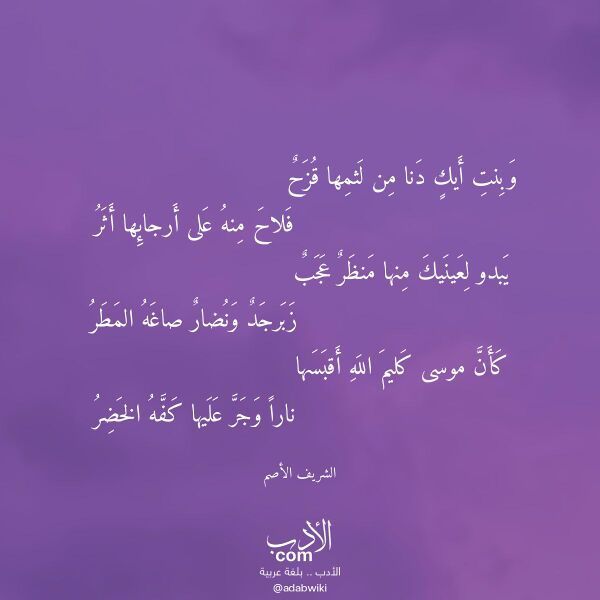 اقتباس من قصيدة وبنت أيك دنا من لثمها قزح لـ الشريف الأصم اقتباس من قصيدة وبنت أيك دنا من لثمها قزح لـ الشريف الأصم