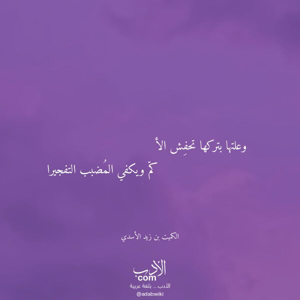 اقتباس من قصيدة وعلتها بتركها تحفش الأ لـ الكميت بن زيد الأسدي اقتباس من قصيدة وعلتها بتركها تحفش الأ لـ الكميت بن زيد الأسدي