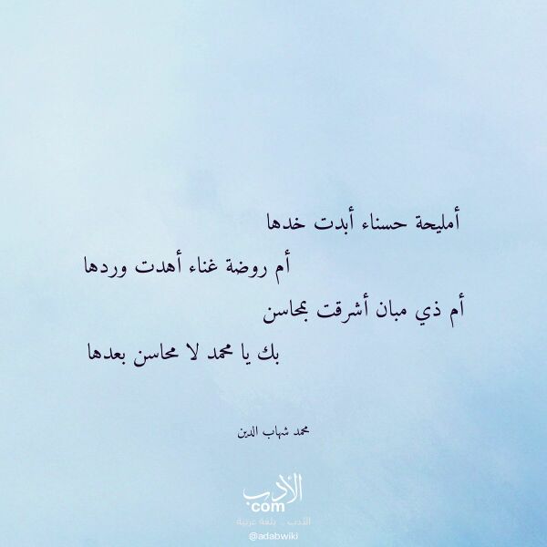 اقتباس من قصيدة أمليحة حسناء أبدت خدها لـ محمد شهاب الدين