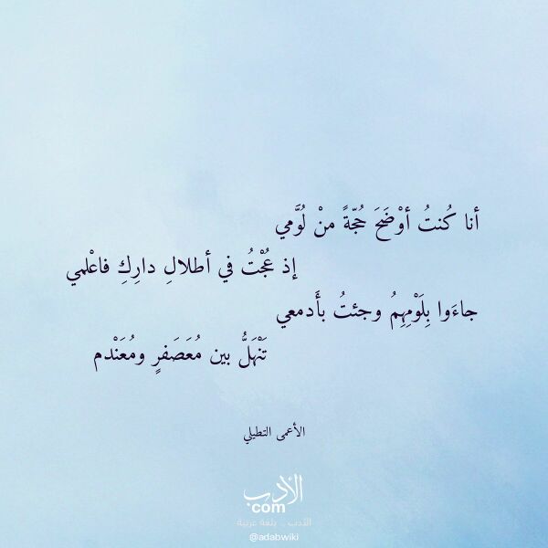 اقتباس من قصيدة أنا كنت أوضح حجة من لومي لـ الأعمى التطيلي اقتباس من قصيدة أنا كنت أوضح حجة من لومي لـ الأعمى التطيلي