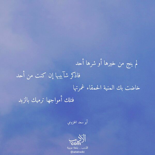 اقتباس من قصيدة لم ينج من خيرها أو شرها أحد لـ أبو سعد المخزومي