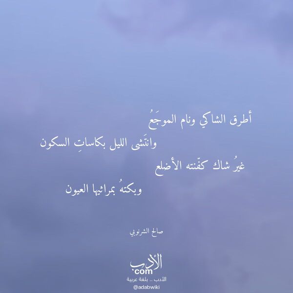 اقتباس من قصيدة أطرق الشاكي ونام الموجع لـ صالح الشرنوبي