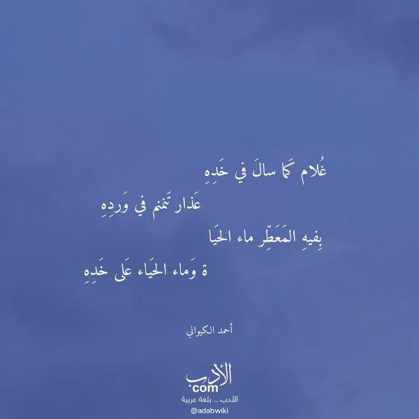 اقتباس من قصيدة غلام كما سال في خده لـ أحمد الكيواني