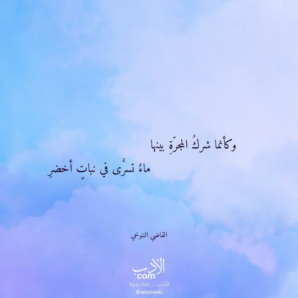 اقتباس من قصيدة وكأنما شرك المجرة بينها لـ القاضي التنوخي اقتباس من قصيدة وكأنما شرك المجرة بينها لـ القاضي التنوخي