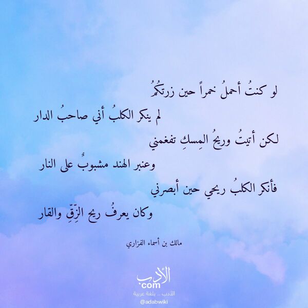 اقتباس من قصيدة لو كنت أحمل خمرا حين زرتكم لـ مالك بن أسماء الفزاري