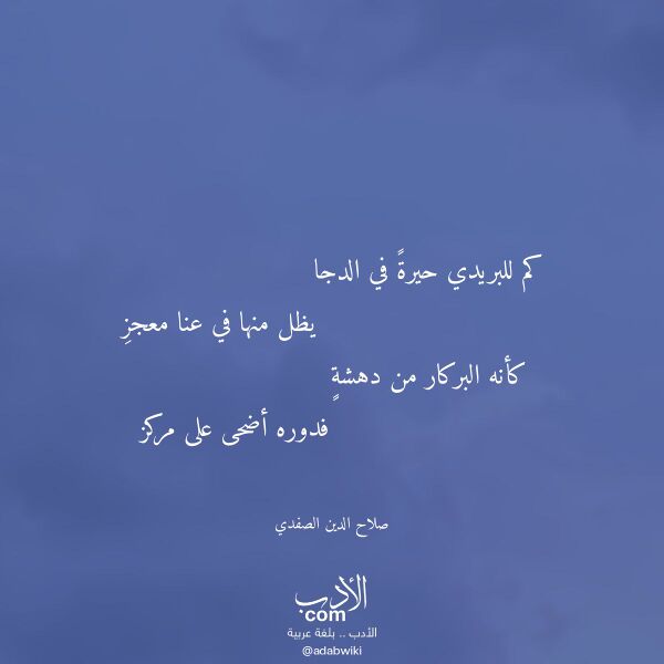 اقتباس من قصيدة كم للبريدي حيرة في الدجا لـ صلاح الدين الصفدي