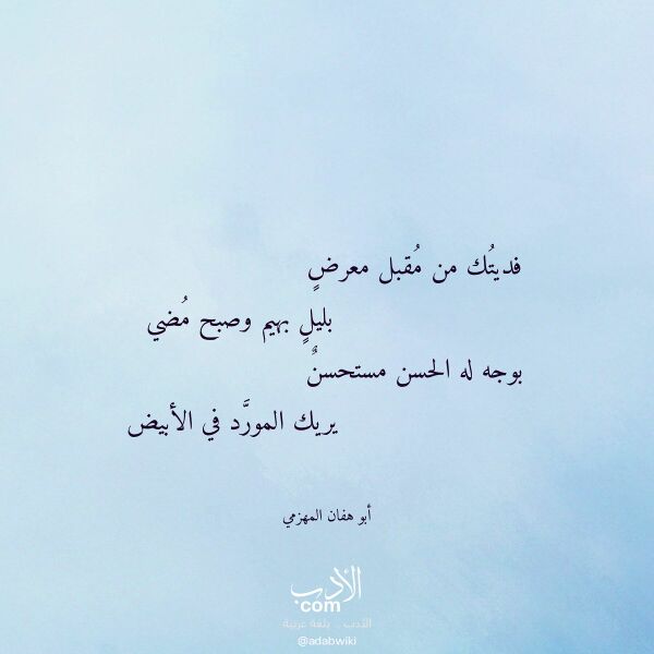 اقتباس من قصيدة فديتك من مقبل معرض لـ أبو هفان المهزمي