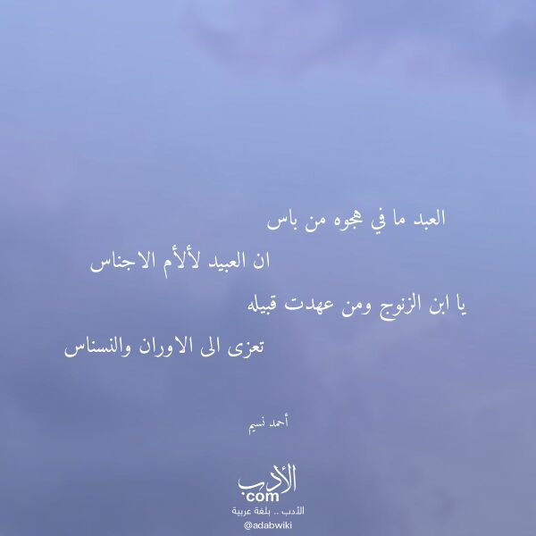اقتباس من قصيدة العبد ما في هجوه من باس لـ أحمد نسيم