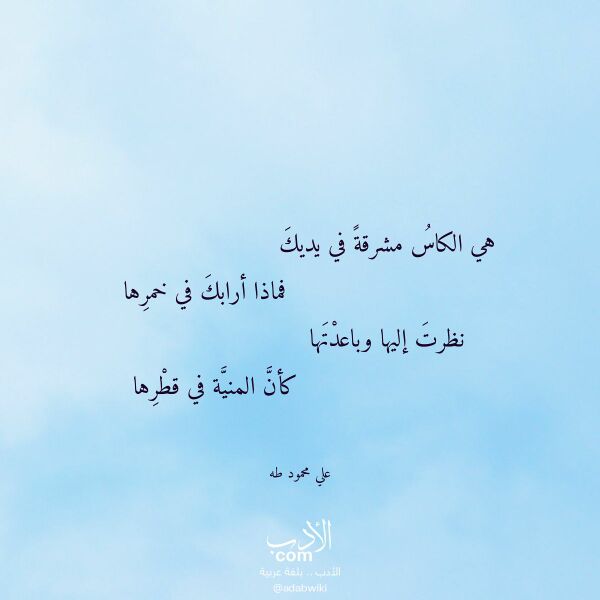 اقتباس من قصيدة هي الكاس مشرقة في يديك لـ علي محمود طه