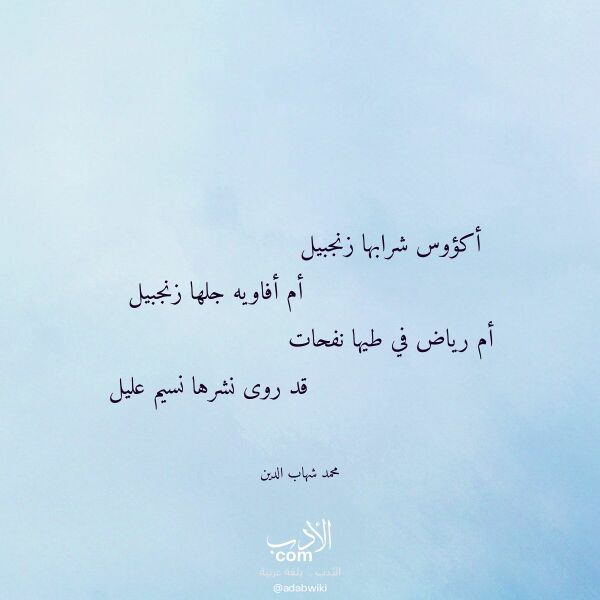اقتباس من قصيدة أكؤوس شرابها زنجبيل لـ محمد شهاب الدين