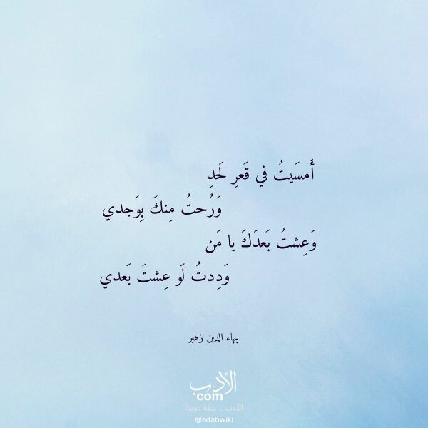 اقتباس من قصيدة أمسيت في قعر لحد لـ بهاء الدين زهير
