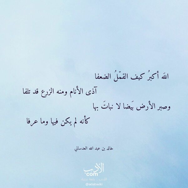 اقتباس من قصيدة الله أكبر كيف القمل الضعفا لـ خالد بن عبد الله العدساني اقتباس من قصيدة الله أكبر كيف القمل الضعفا لـ خالد بن عبد الله العدساني