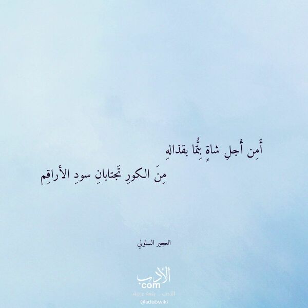 اقتباس من قصيدة أمن أجل شاة بتما بقذاله لـ العجير السلولي اقتباس من قصيدة أمن أجل شاة بتما بقذاله لـ العجير السلولي