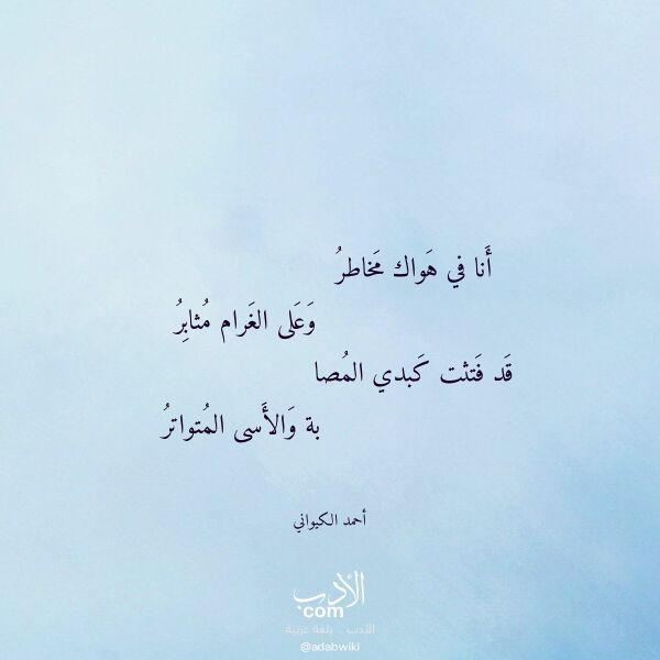 اقتباس من قصيدة أنا في هواك مخاطر لـ أحمد الكيواني
