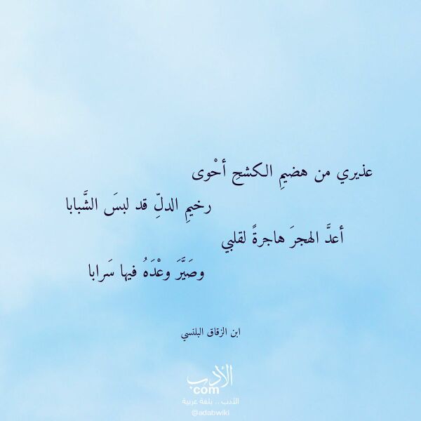 اقتباس من قصيدة عذيري من هضيم الكشح أحوى لـ ابن الزقاق البلنسي