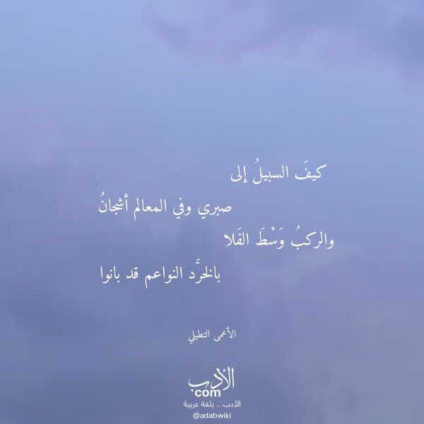 اقتباس من قصيدة كيف السبيل إلى لـ الأعمى التطيلي اقتباس من قصيدة كيف السبيل إلى لـ الأعمى التطيلي