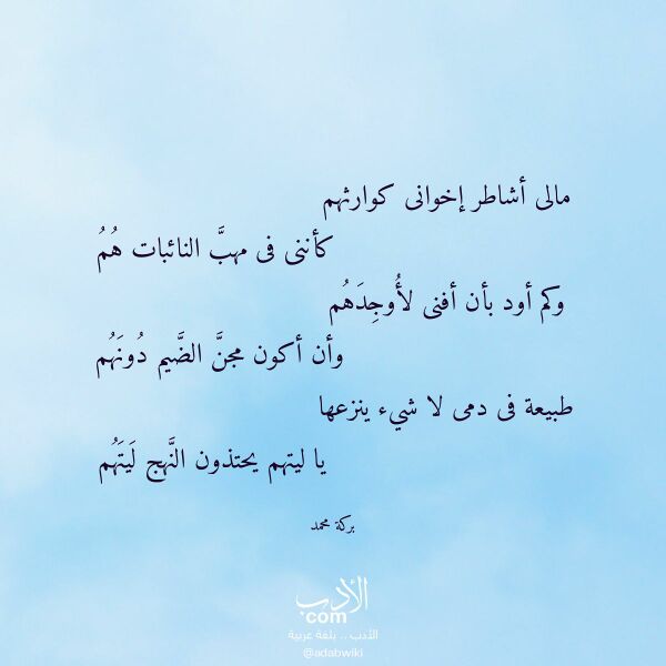 اقتباس من قصيدة مالى أشاطر إخوانى كوارثهم لـ بركة محمد