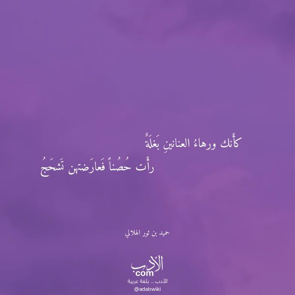 اقتباس من قصيدة كأنك ورهاء العنانين بغلة لـ حميد بن ثور الهلالي اقتباس من قصيدة كأنك ورهاء العنانين بغلة لـ حميد بن ثور الهلالي