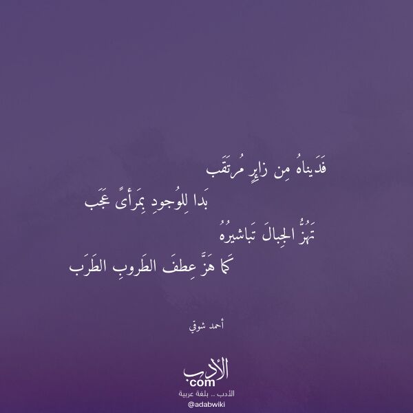 اقتباس من قصيدة فديناه من زائر مرتقب لـ أحمد شوقي
