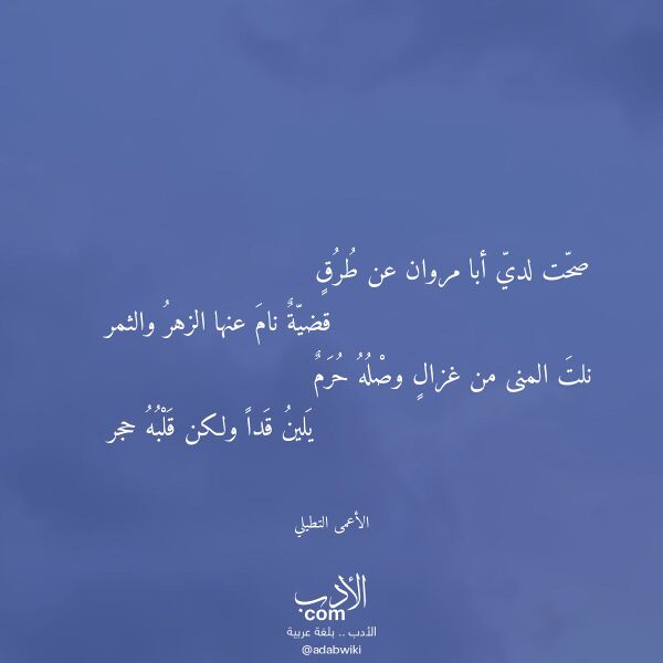 اقتباس من قصيدة صحت لدي أبا مروان عن طرق لـ الأعمى التطيلي اقتباس من قصيدة صحت لدي أبا مروان عن طرق لـ الأعمى التطيلي