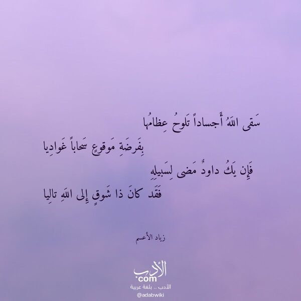 اقتباس من قصيدة سقى الله أجسادا تلوح عظامها لـ زياد الأعسم