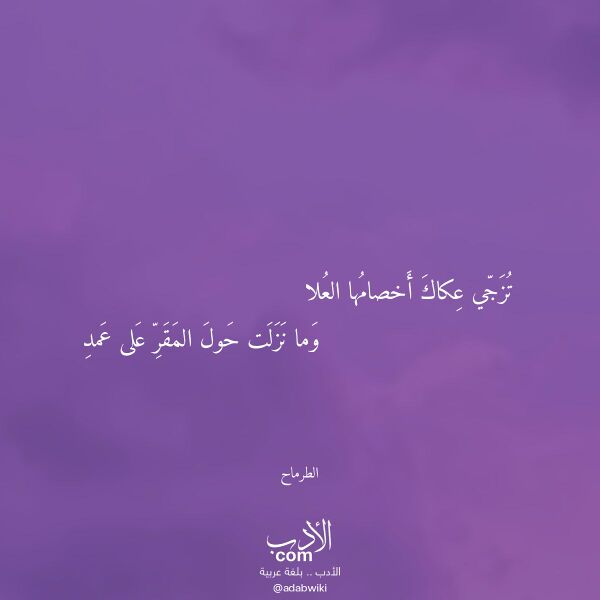 اقتباس من قصيدة تزجي عكاك أخصامها العلا لـ الطرماح اقتباس من قصيدة تزجي عكاك أخصامها العلا لـ الطرماح