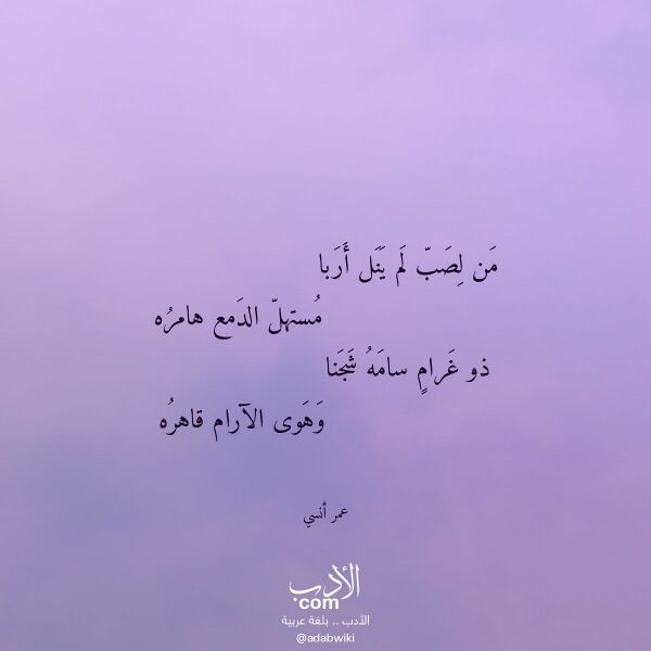 اقتباس من قصيدة من لصب لم ينل أربا لـ عمر أنسي