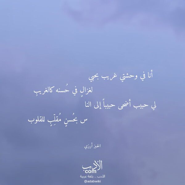 اقتباس من قصيدة أنا في وحشتي غريب بحبي لـ الخبز أرزي اقتباس من قصيدة أنا في وحشتي غريب بحبي لـ الخبز أرزي