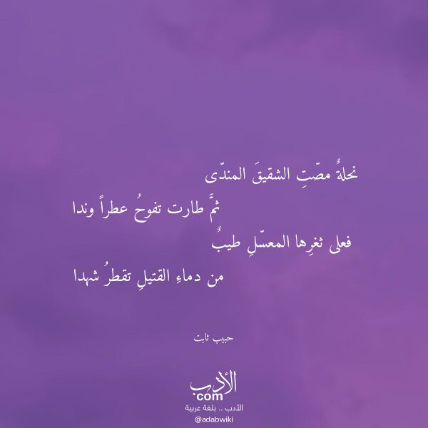 اقتباس من قصيدة نحلة مصت الشقيق المندى لـ حبيب ثابت اقتباس من قصيدة نحلة مصت الشقيق المندى لـ حبيب ثابت