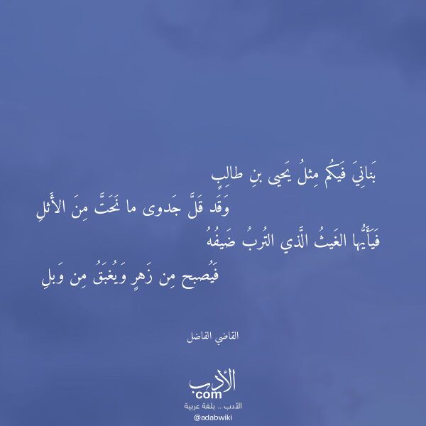 اقتباس من قصيدة بناني فيكم مثل يحيى بن طالب لـ القاضي الفاضل