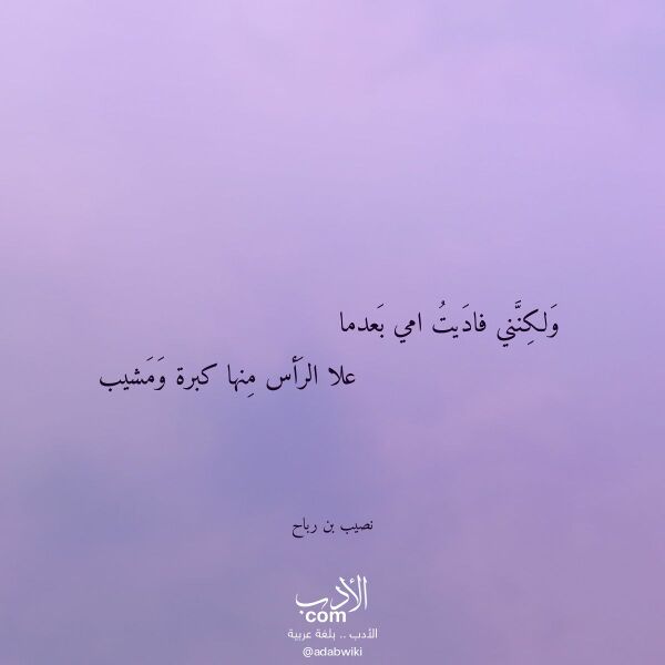 اقتباس من قصيدة ولكنني فاديت امي بعدما لـ نصيب بن رباح اقتباس من قصيدة ولكنني فاديت امي بعدما لـ نصيب بن رباح